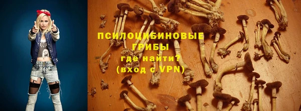 apvp Алексин