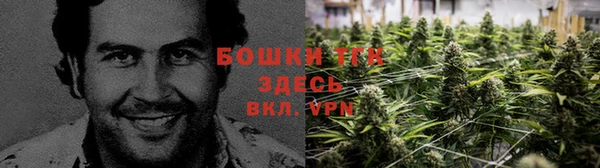 apvp Алексин